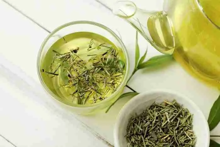 green tea gum disease -Ocean Breeze