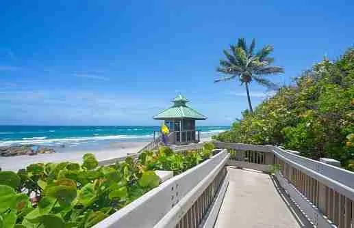 istockphoto 1330075635 170667a -Ocean Breeze