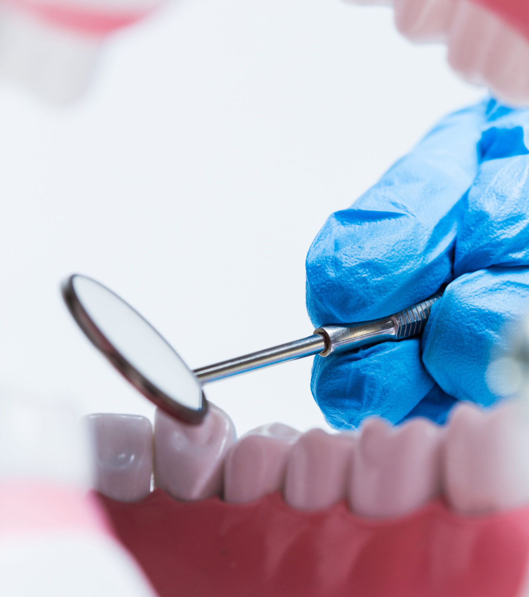 AdobeStock 105510129 scaled e1758028485338 -Ocean Breeze