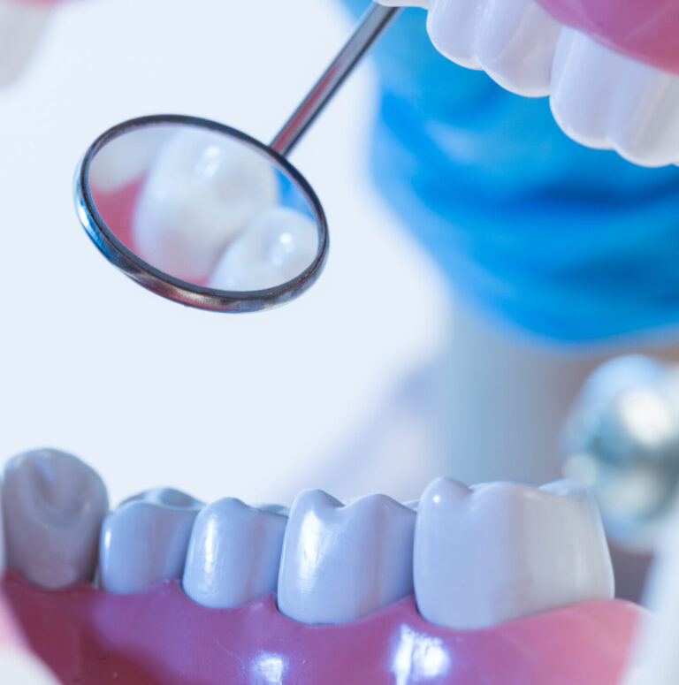 AdobeStock 105510137 scaled e1758029257893 -Ocean Breeze