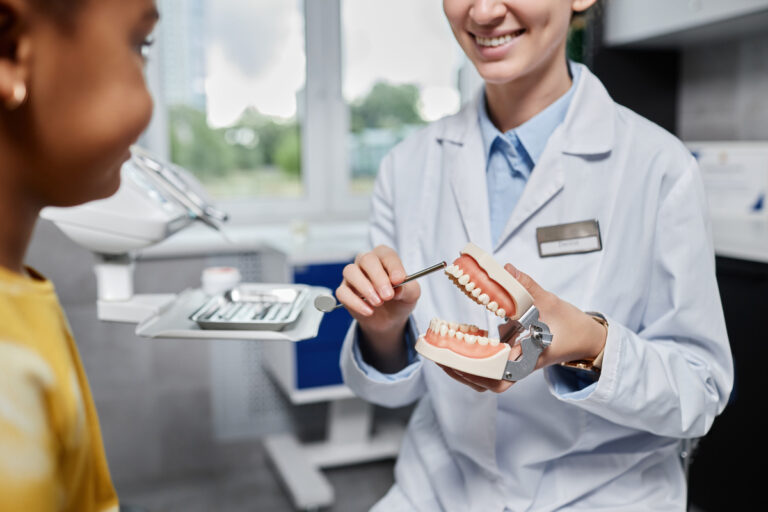 Closeup of friendly woman dentist holding tooth model